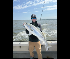 Striper7.png