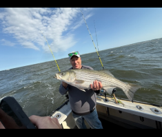 Striper3.png