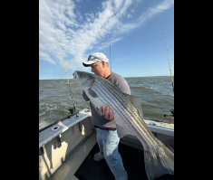 Striper_1.png