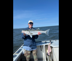 Striper5.png